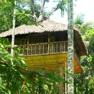 Kalidasa Tree House And Villa, Wayanad Chegat